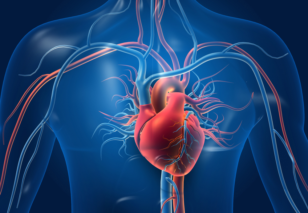 Il ruolo della lipoproteina(a) nella prevenzione cardiovascolare