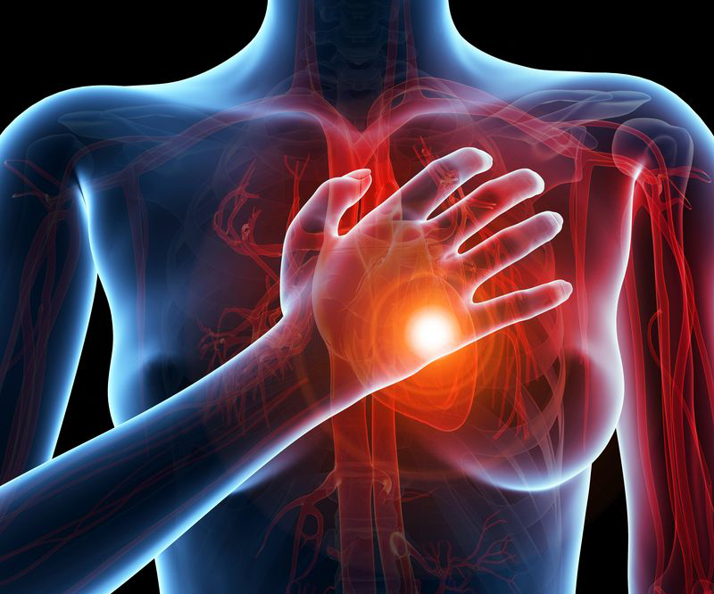 Obesità, sedentarietà e alimentazione scorretta: una miscela pericolosa che apre la strada alle malattie cardiovascolari