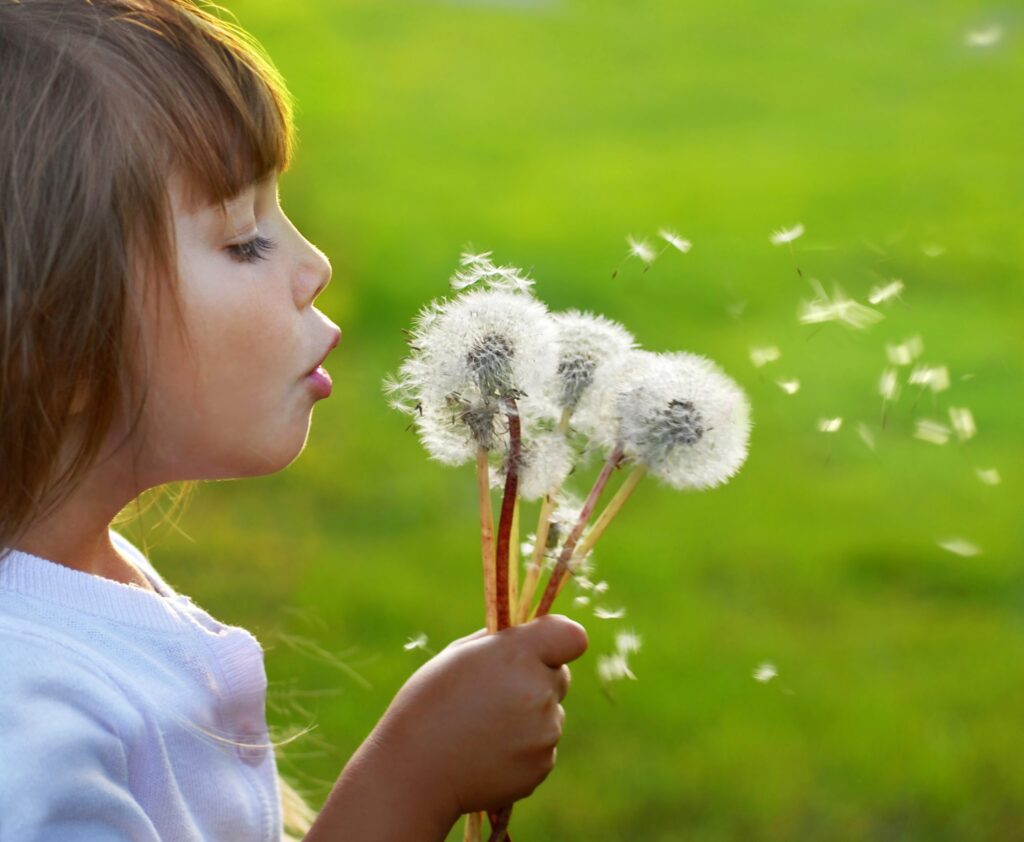 Monitoraggio e prevenzione: come difendersi dai pollini.