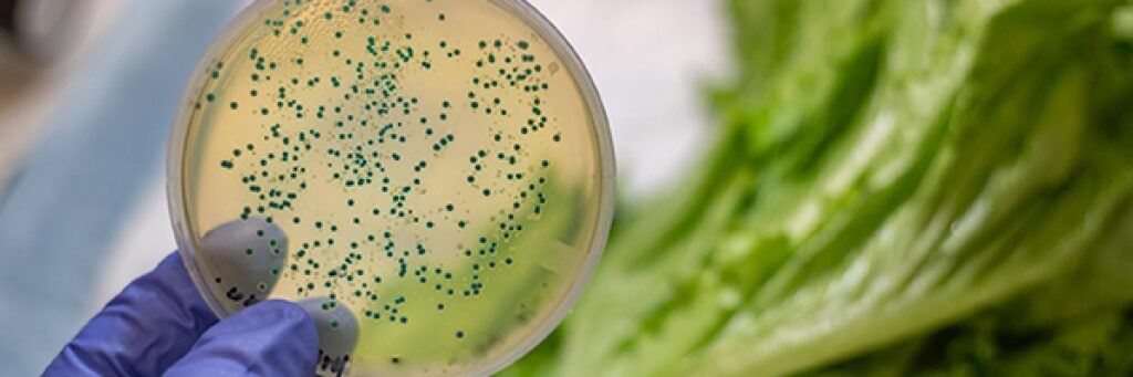 Cibo contaminato: visite specialistiche mirate e prevenzione alimentare