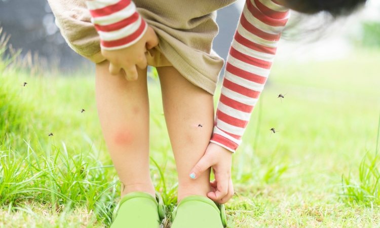 Come riconoscere un repellente sicuro anzi zanzare